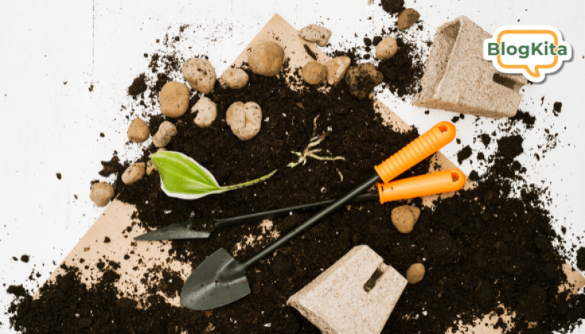Thumnail Blog