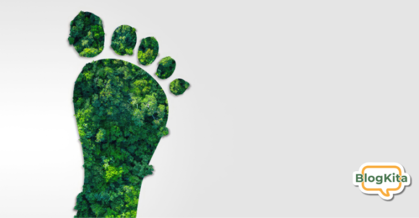 Thumnail Blog