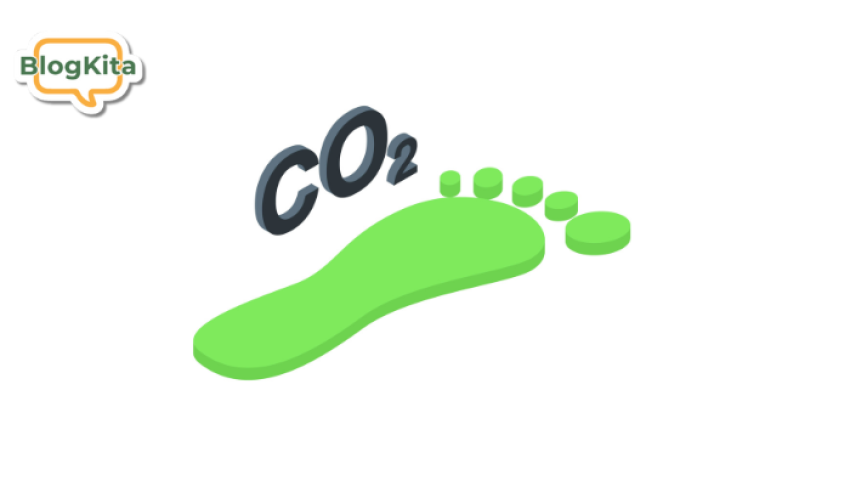 Thumnail Blog